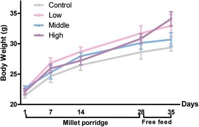 Alteration of intestinal microflora by the intake of millet porridge improves gastrointestinal motility